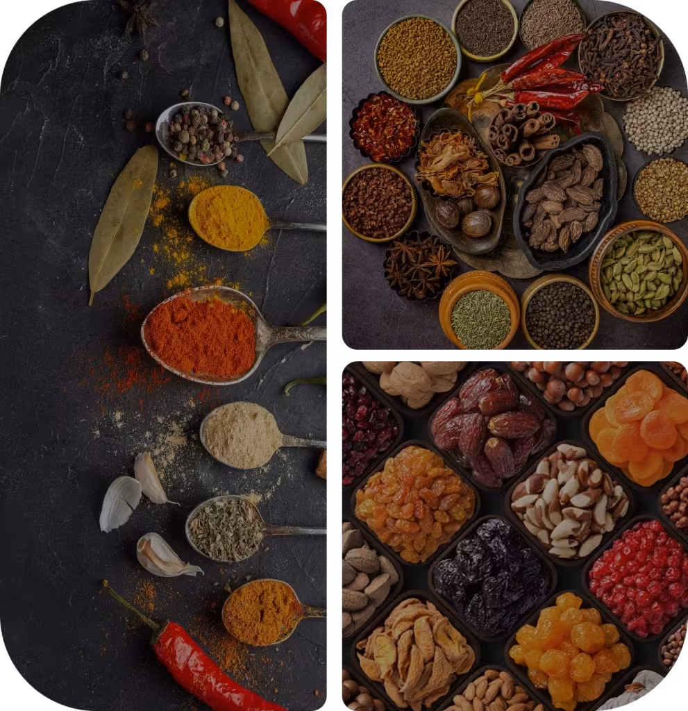 درباره بادروج